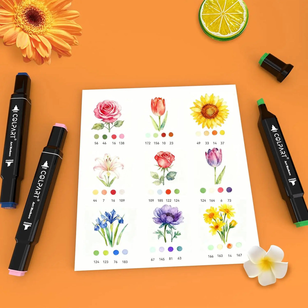 KIDGENIUS 262/168/120 Kid-Safe Non-Toxic Alcohol Art Markers Set - Dual-Tip, Quick-Dry, No-Bleed, Smooth-Stroke Art Supplies in Sealed Bags - Works on Wood, Rock, Canvas, Glass - Kids' School Stationery, Thanksgiving/Birthday Gift for Cartoons Creation
