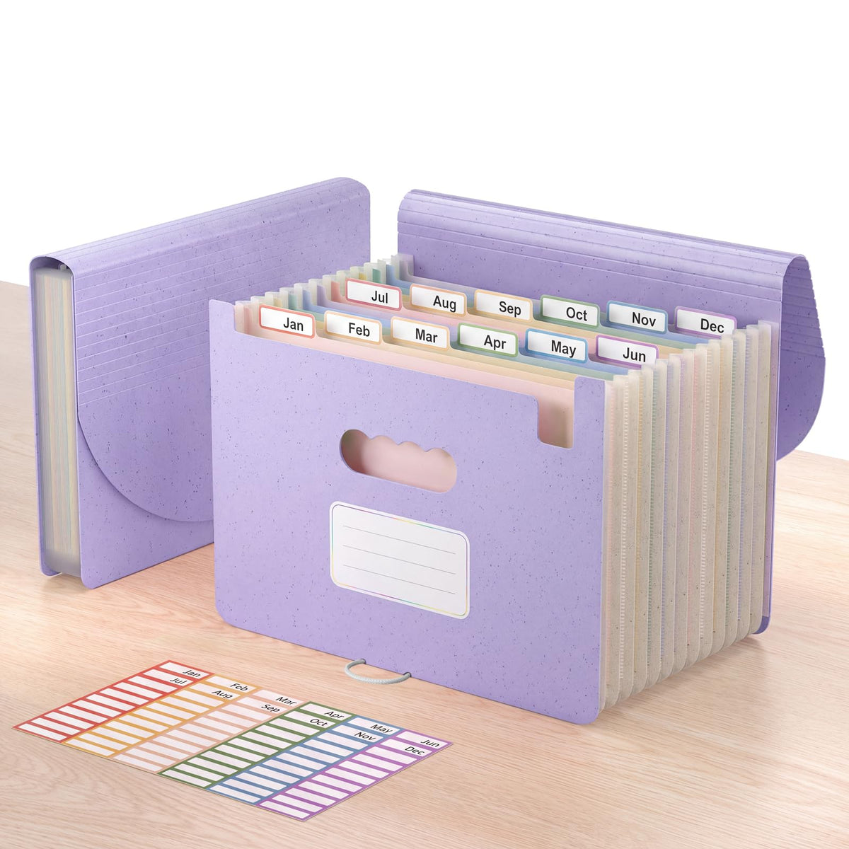 ThinkTex Accordion File Organizer, 12 - Pocket Expanding File Folders