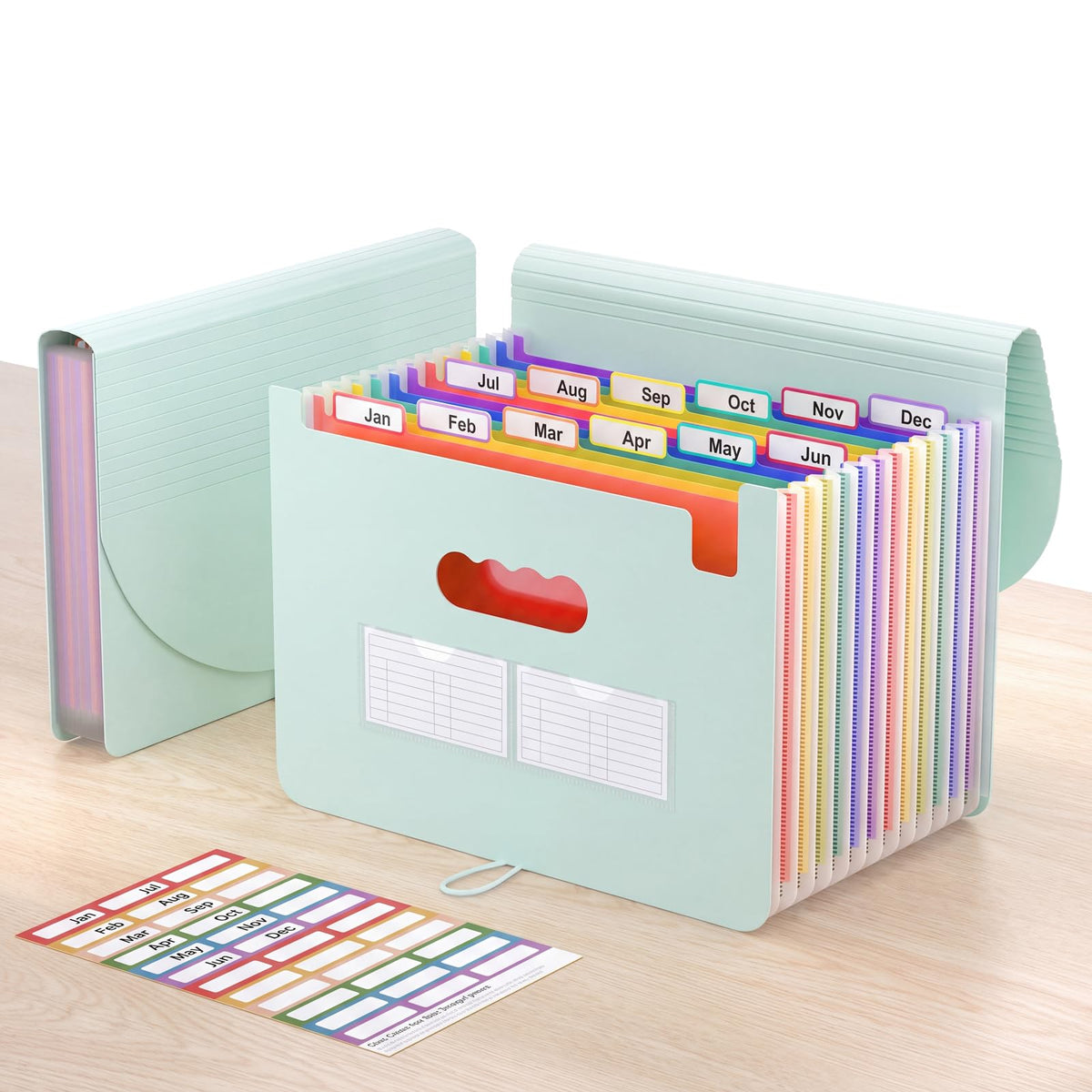 ThinkTex Accordion File Organizer, 12 - Pocket Expanding File Folders