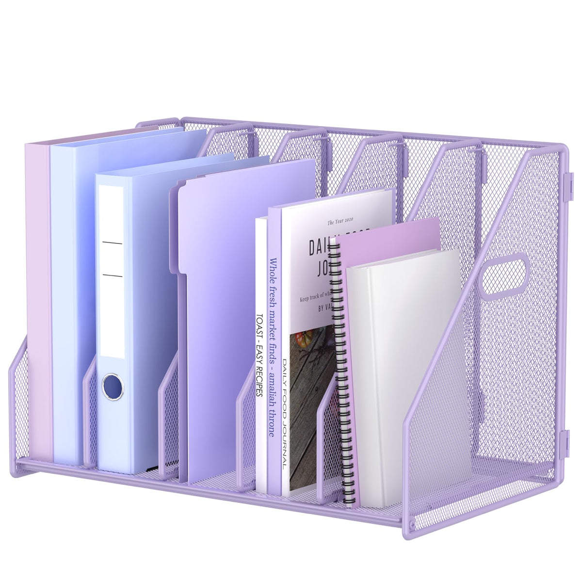 MINDEPOT Desk File Organizer Folder Holder with 5 Vertical for Office Black