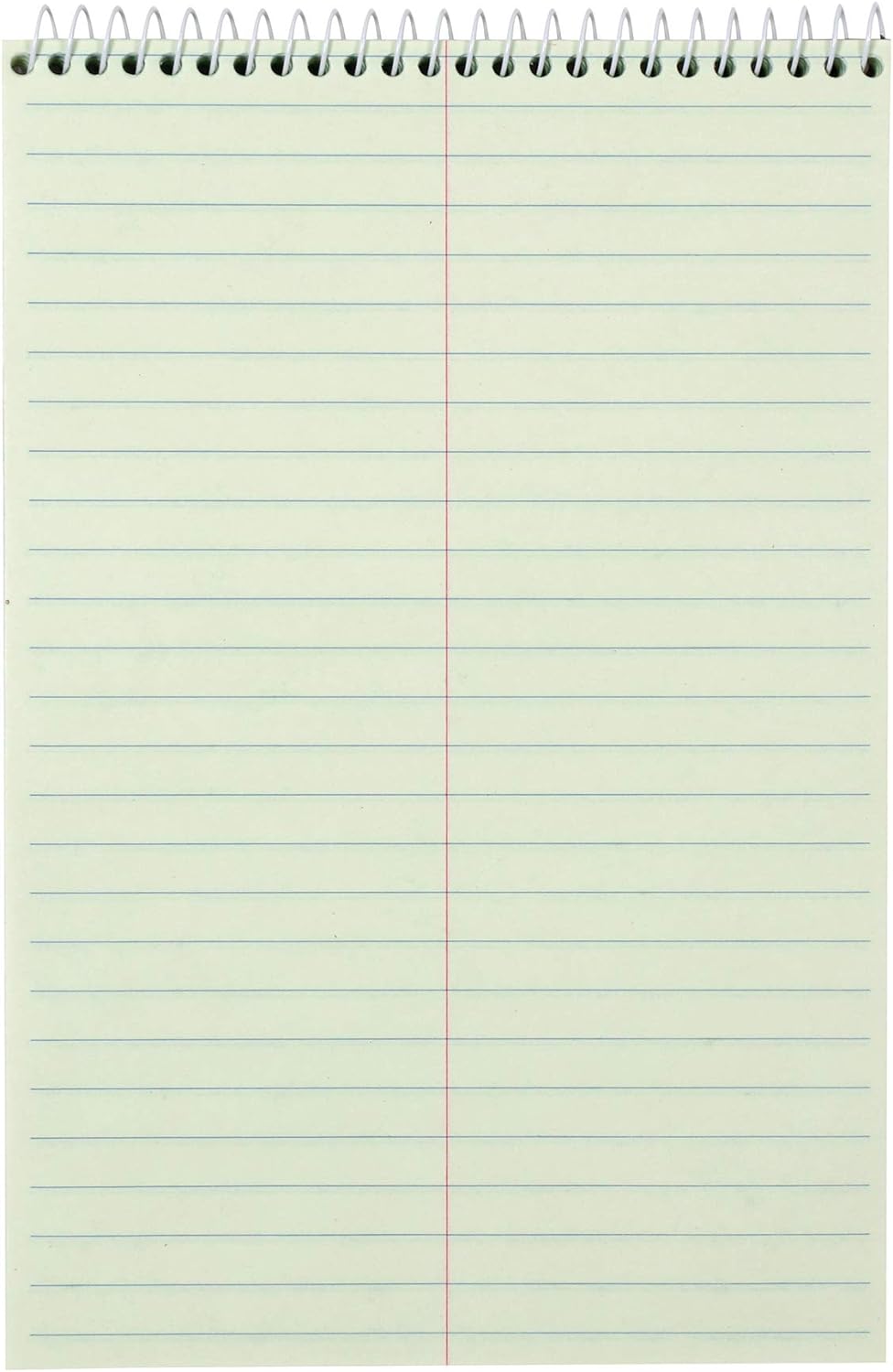 Amazon Basics Steno Notebooks, Gregg Rule, Green Paper for Notes, 80 Sheets, 6" x 9", 12-Pack