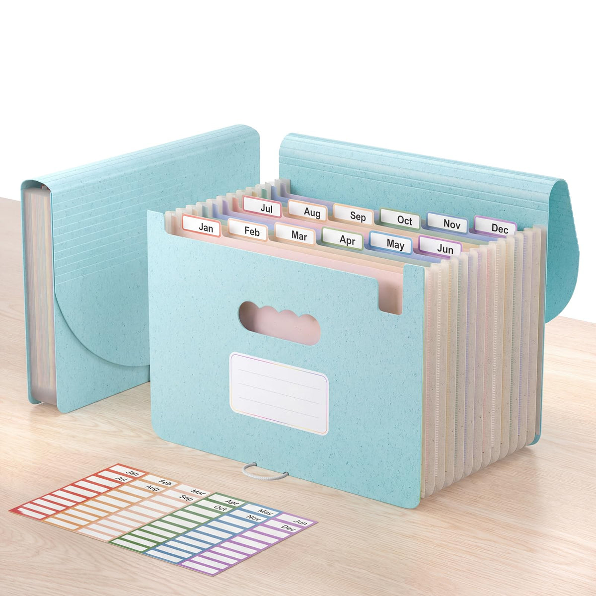 ThinkTex Accordion File Organizer, 12 - Pocket Expanding File Folders