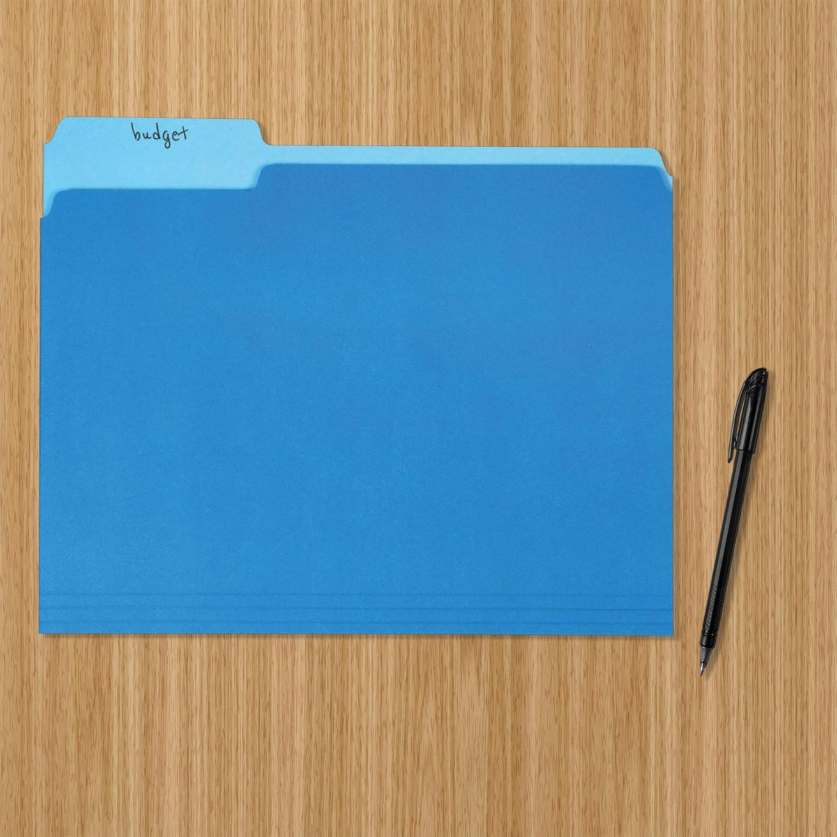 Amazon Basics File Folders for Organization, Letter Size, 1/3 Cut Tab, Sturdy with Tabs for Organizing and Filing, Blue, 36-Pack