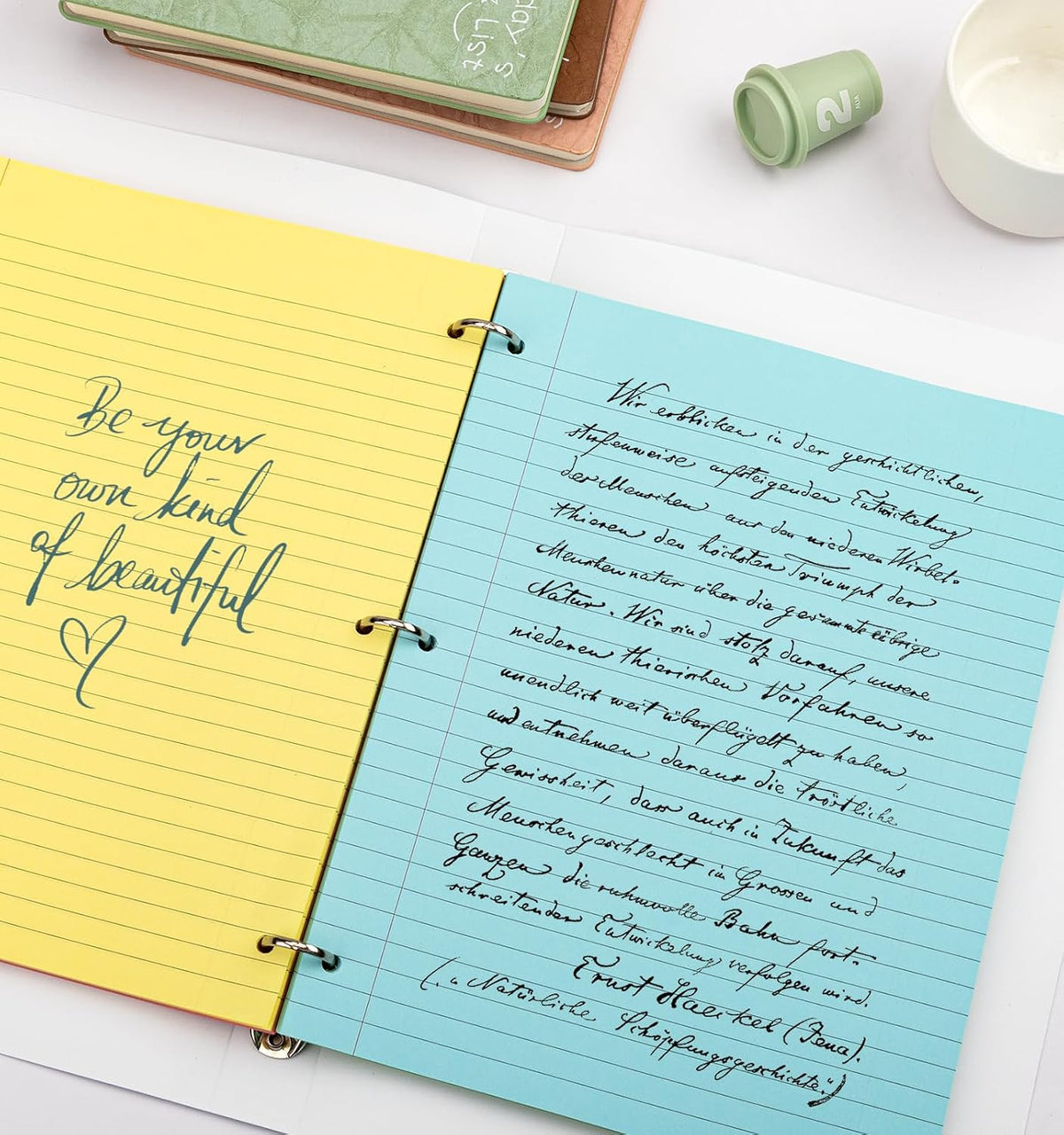 120 Sheets Loose Leaf Paper, 8” x 10.5”, 6 Colors Wide Ruled Lined Paper